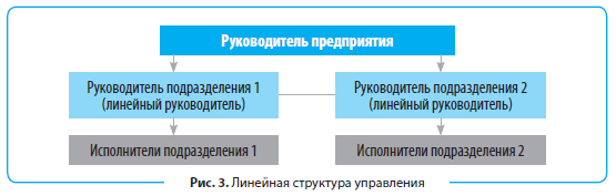 Гольдштейн Г.Я. Основы менеджмента: Организационные отношения в системе менеджмента